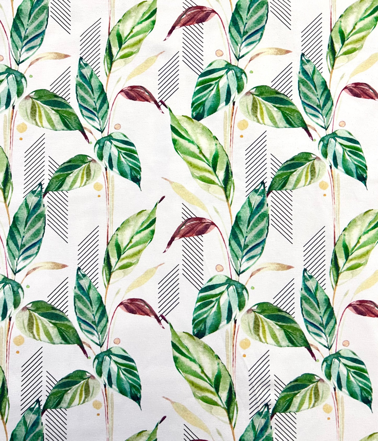 Slip Mestruali assorbente chiaro Sensitive Skin Underwear Collection