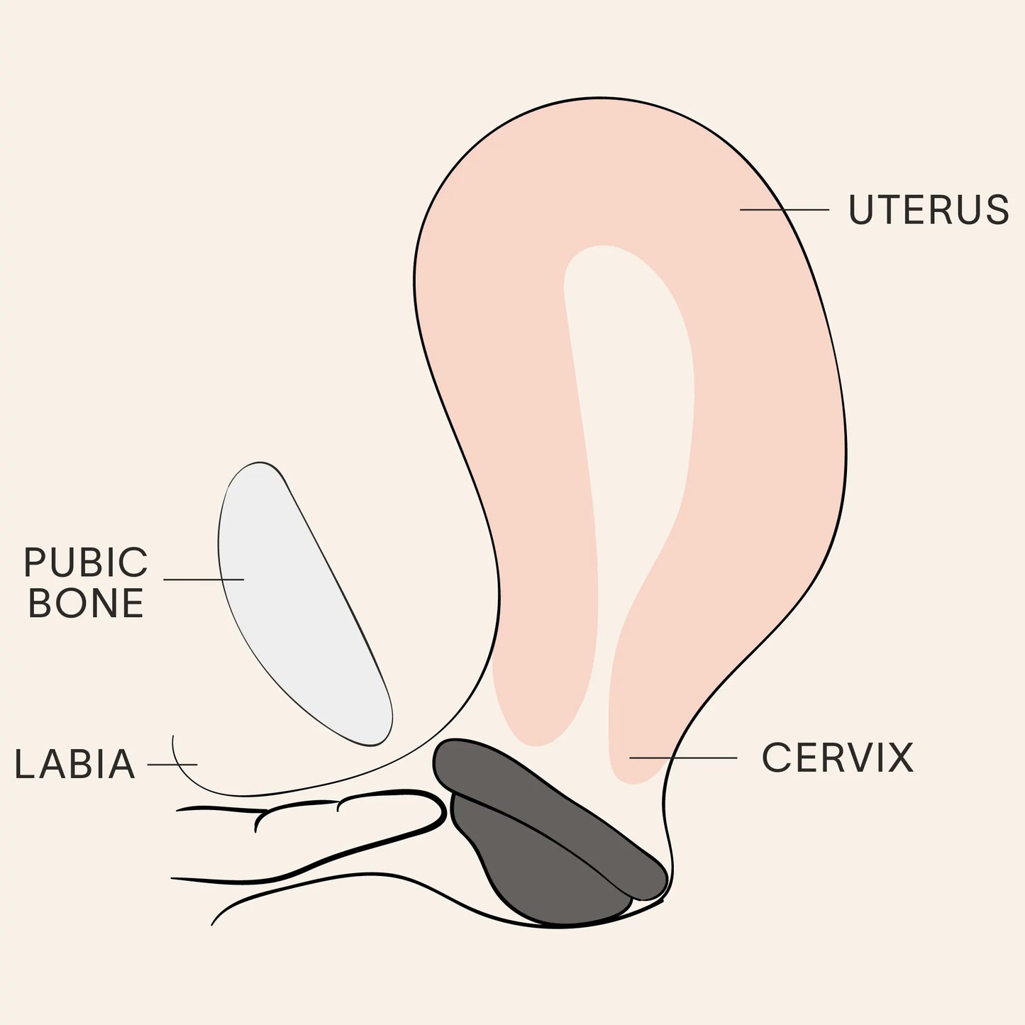 FULLMOON Menstrual Disc